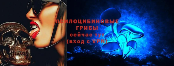 apvp Балахна