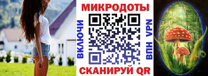 магазин продажи наркотиков  Усть-Кут  Галлюциногенные грибы GOLDEN TEACHER 